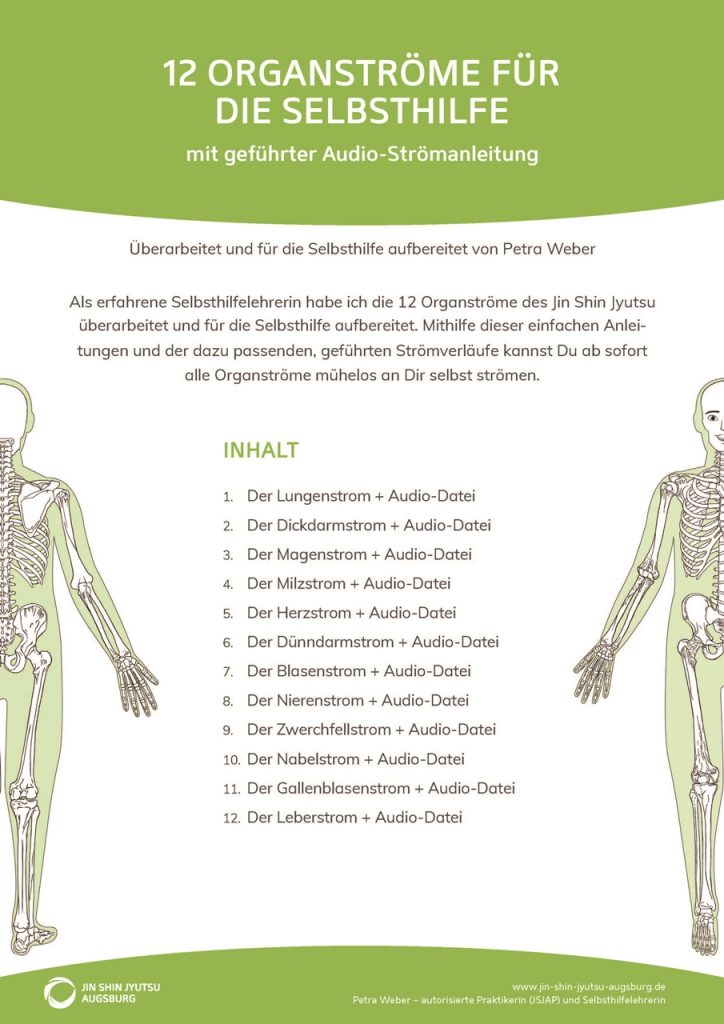 Deckblatt Jin Shin Jyutsu-Anleitung Organströme