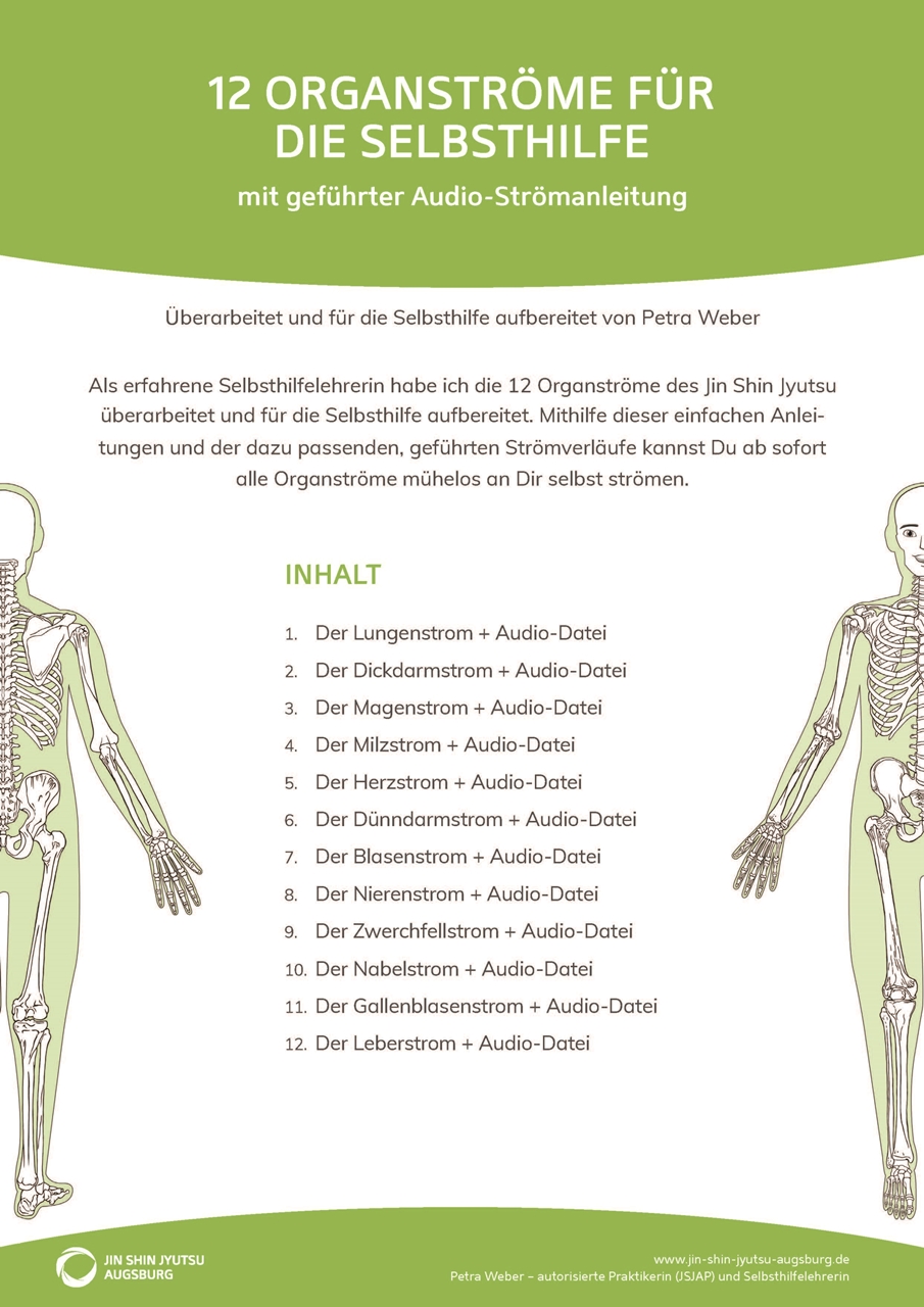 Deckblatt Jin Shin Jyutsu-Anleitung Organströme